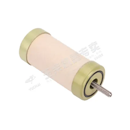 گیس فلٹر عنصر